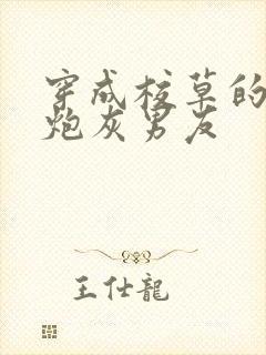 穿成校草的纯1炮灰男友