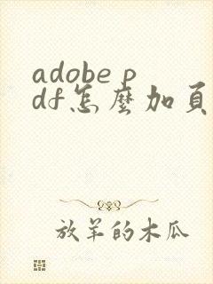 adobe pdf怎么加页码
