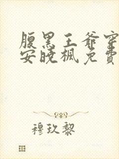 腹黑王爷穿越妃安晓枫免费阅读