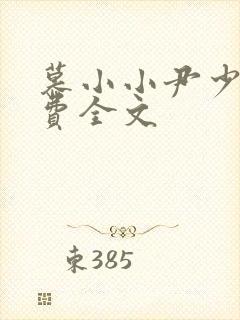 慕小小尹少桀免费全文