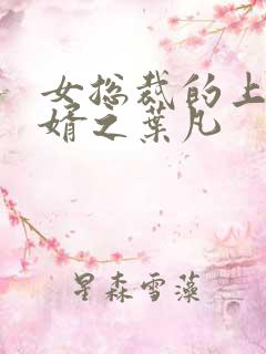 女总裁的上门女婿之叶凡