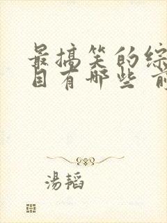 最搞笑的综艺节目有哪些 前十名