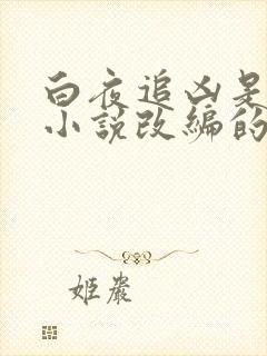 白夜追凶是根据小说改编的吗