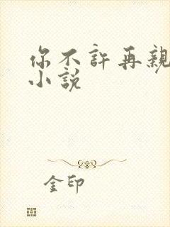 你不许再亲我啦小说