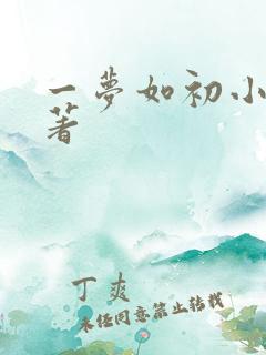 一梦如初小说原著