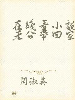 在线看小说国民老公带回家