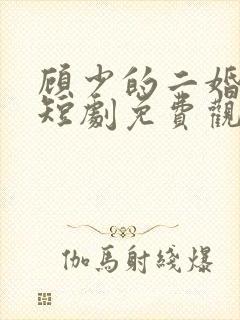 顾少的二婚甜妻短剧免费观看全集