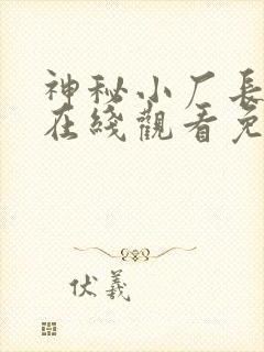 神秘小厂长短剧在线观看免费