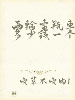 两轮电瓶车电瓶多少钱一个