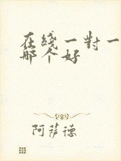 在线一对一外教哪个好