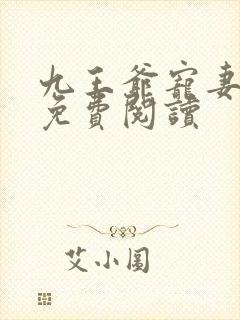 九王爷宠妻如命免费阅读