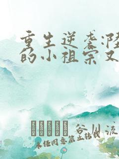 重生逆袭:陆爷的小祖宗又甜又飒