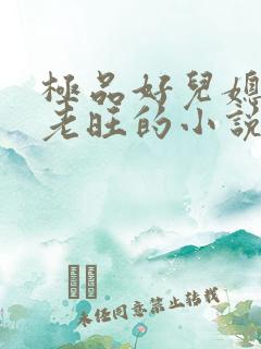 极品好儿媳秦雨老旺的小说