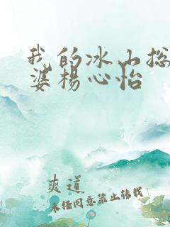 我的冰山总裁老婆杨心怡