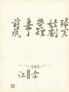 前妻带娃归来杀疯了短剧完整版