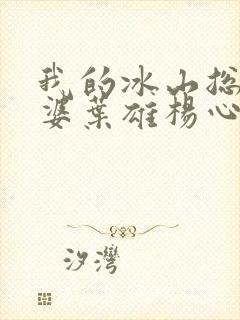 我的冰山总裁老婆叶雄杨心怡