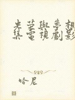 光荣与梦想40集电视剧影视大全