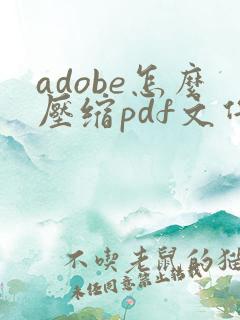 adobe怎么压缩pdf文件大小