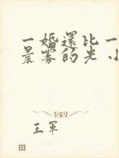 一婚还比一婚高晨雾的光 小说