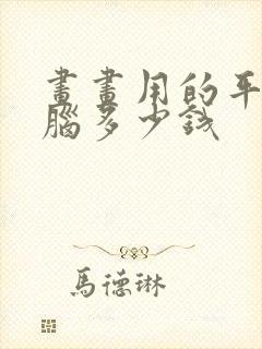 画画用的平板电脑多少钱