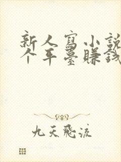 新人写小说去哪个平台赚钱多