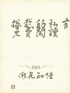 总裁的私有宝贝免费阅读