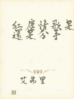 红尘情歌是表白还是分手