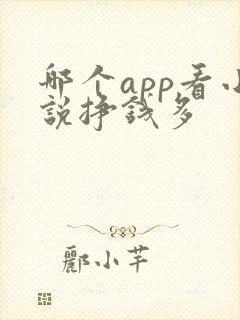 哪个app看小说挣钱多