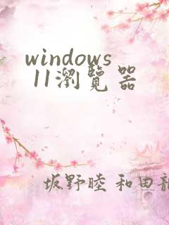 windows 11浏览器