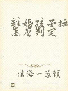 离婚孩子抚养权怎么判定