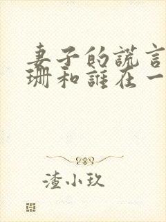 妻子的谎言江一珊和谁在一起了