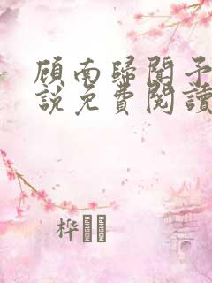 顾南归闻予的小说免费阅读