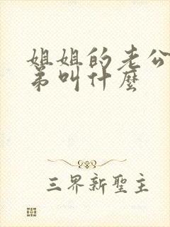 姐姐的老公的弟弟叫什么