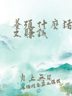 养殖什么猪好养又赚钱