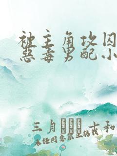 被主角攻囚禁的恶毒男配小说