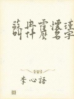 苏冉霍怀瑾小说叫什么名字来着