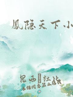凤隐天下小说