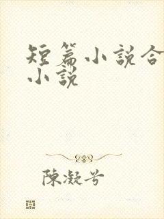 短篇小说合集 小说