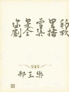 你是雪里的光短剧全集播放