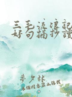 三毛流浪记好词好句摘抄读后感