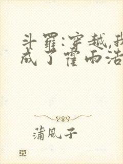 斗罗:穿越,我成了霍雨浩 懒很狠