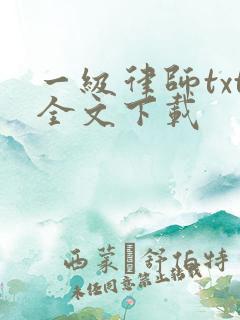 一级律师txt全文下载