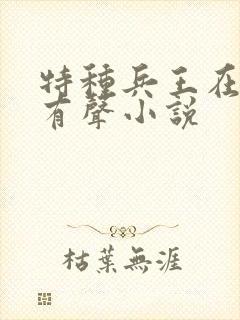 特种兵王在都市有声小说