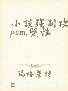 小说强制攻,spsm,双性