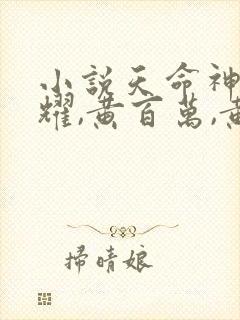 小说天命神算李耀,黄百万,黄依依