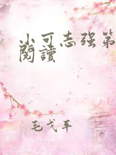 小可志强第二部阅读