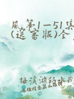 风筝1—51集(送审版)全免费观看