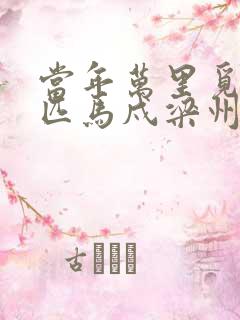 当年万里觅封侯匹马戍梁州