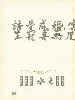 诱爱成婚,傅先生宠妻无度全文免费阅读傅