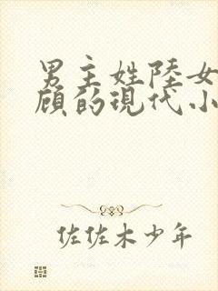 男主姓陆女主姓顾的现代小说